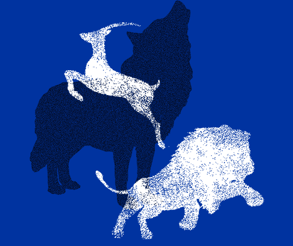 威廉希尔(WilliamHill-中文官方网站)-Official Website